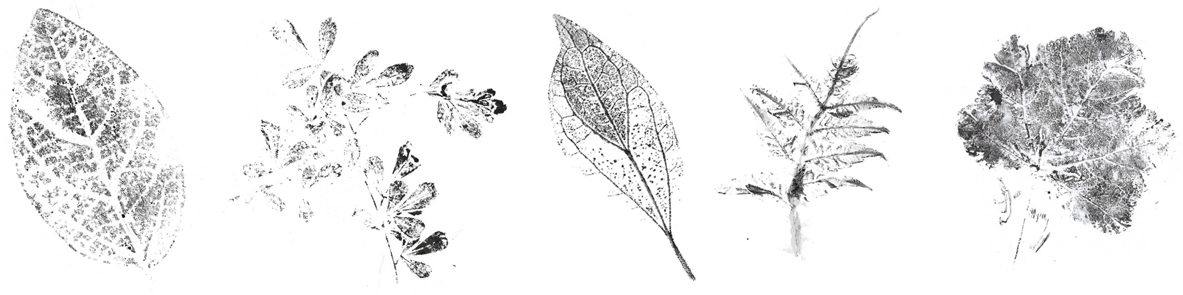 שירת הטבע — עמודי פנים
